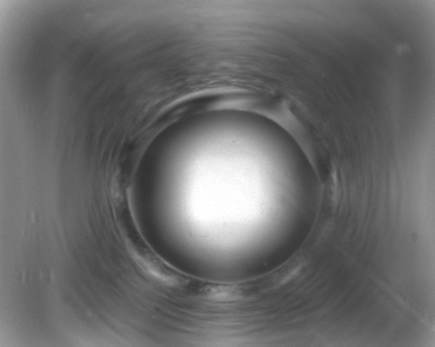 X0000082730088200702021543