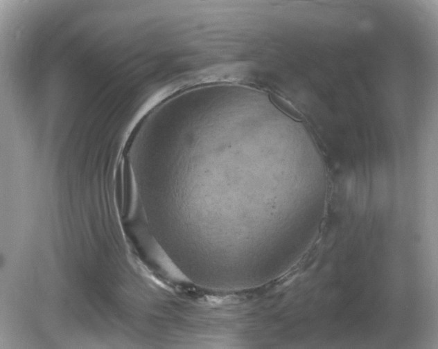X0000082730100200702021542