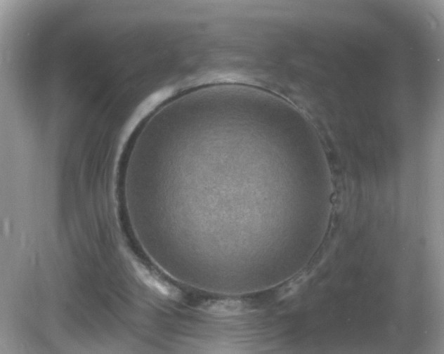 X0000082730104200702021542