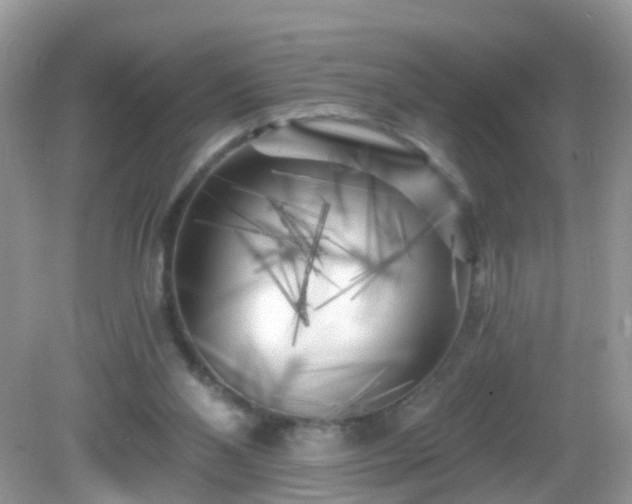X0000082730110200702021542