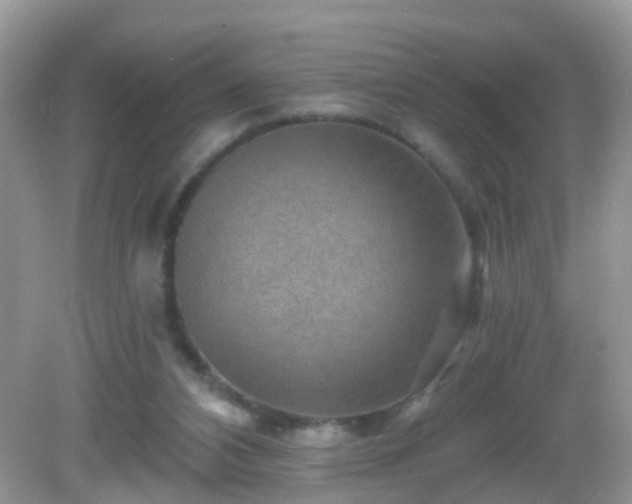 X0000082730112200702021542