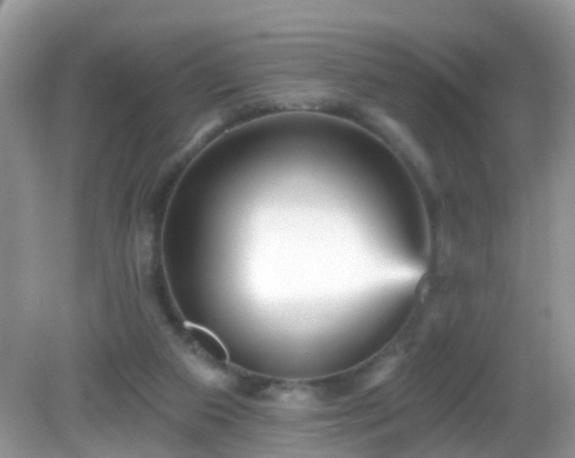 X0000082730113200702021542