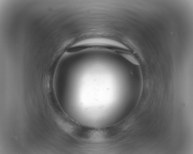 X0000082730115200702021542