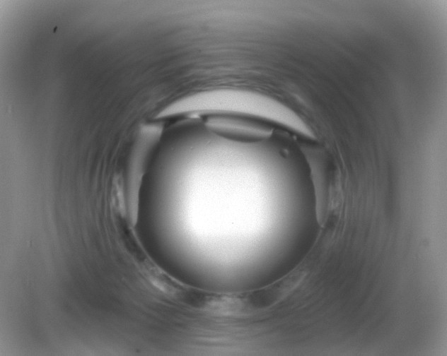 X0000082730125200702021542