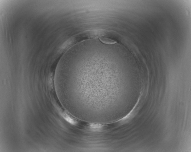 X0000082730144200702021541