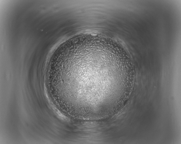 X0000082730145200702021540