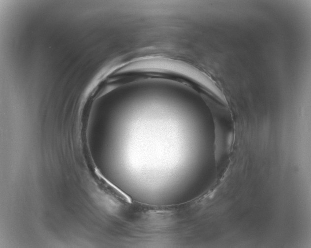 X0000082730150200702021541