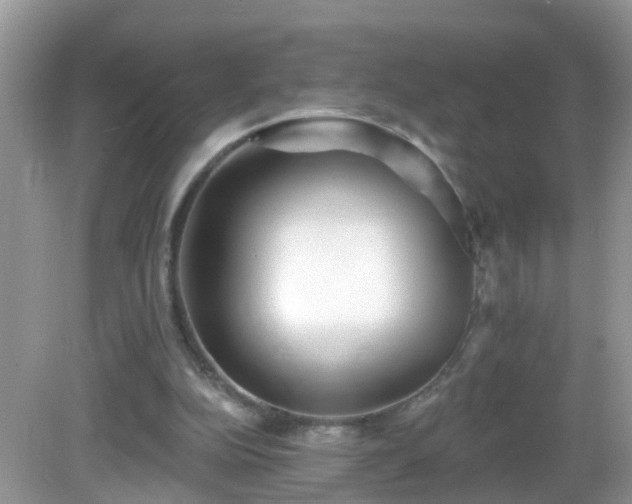 X0000082730152200702021541
