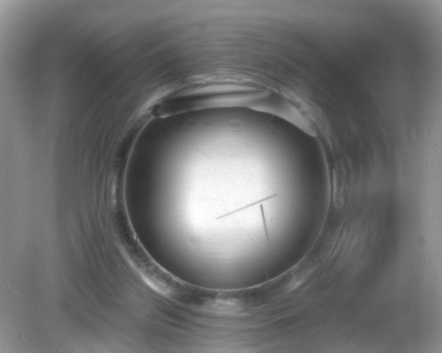 X0000082730157200702021541