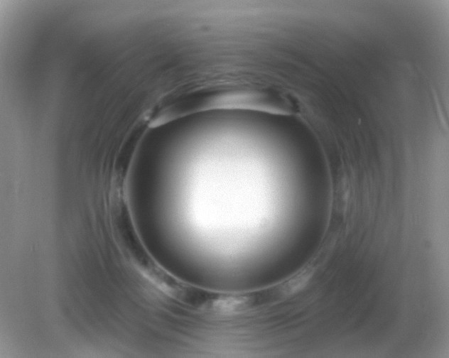X0000082730172200702021541