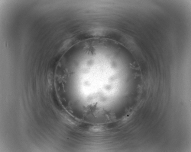 X0000082730175200702021541