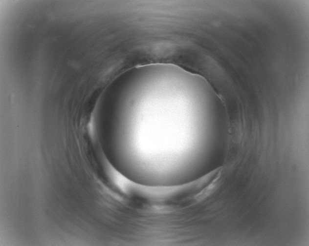 X0000082730184200702021541