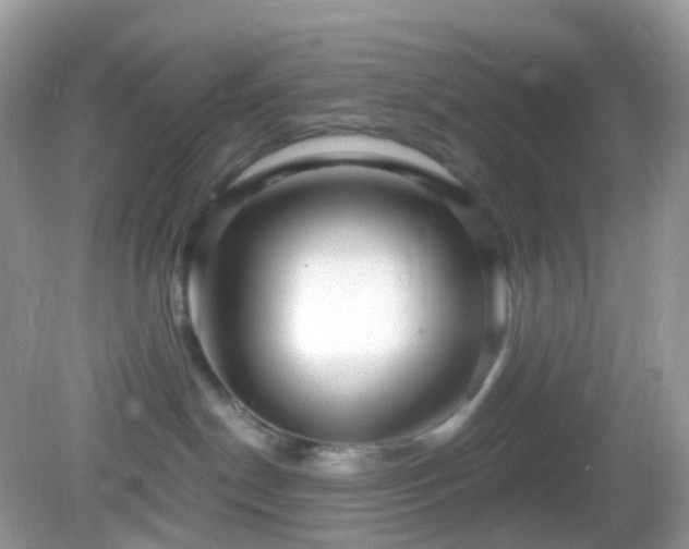 X0000082730190200702021541