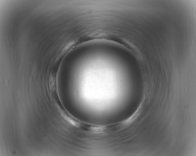 X0000082730192200702021541