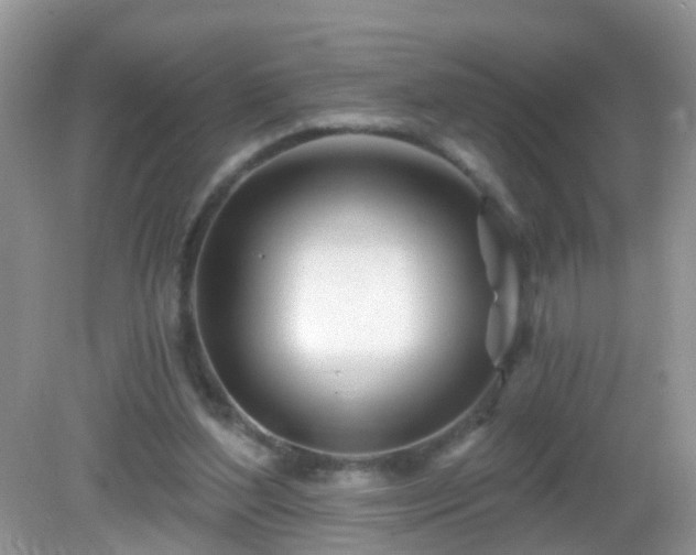 X0000082730204200702021540