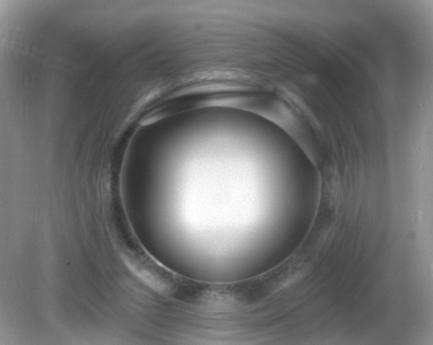 X0000082730207200702021540