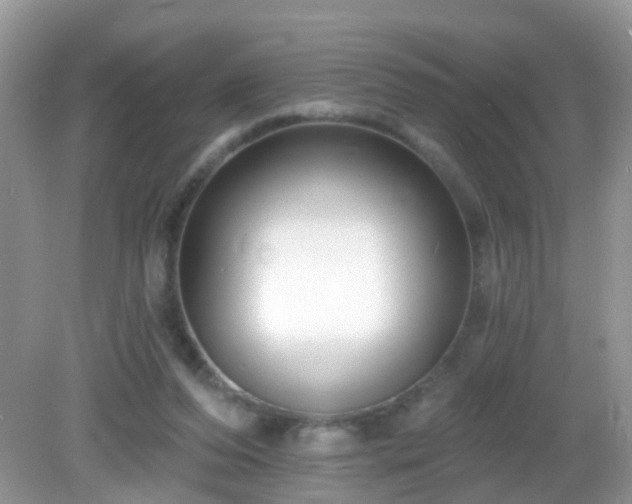 X0000082730208200702021540