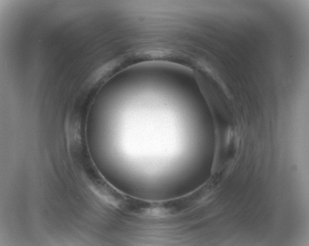 X0000082730212200702021540