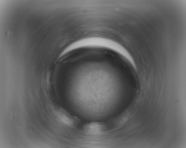 X0000082730219200702021540