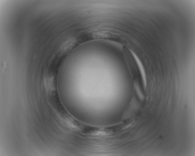 X0000082730224200702021540