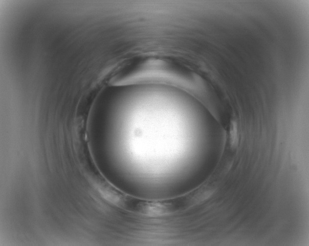 X0000082730229200702021540