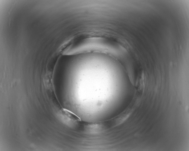 X0000082730237200702021540