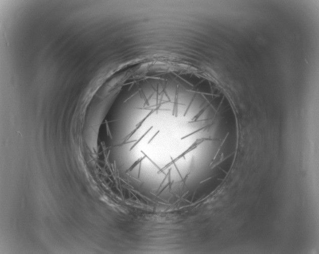 X0000082730241200702021539