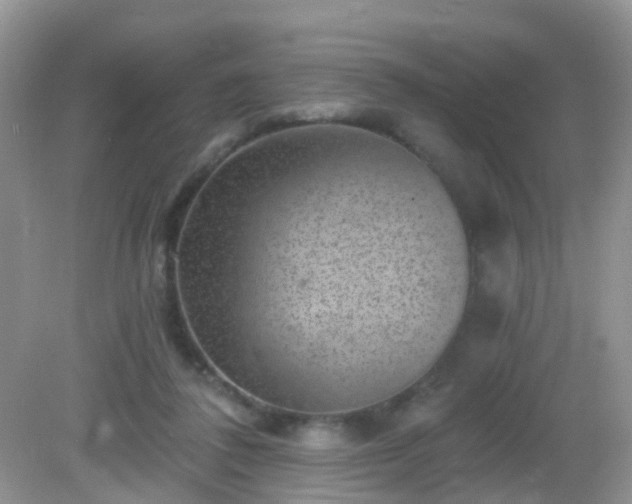 X0000082730308200702021539
