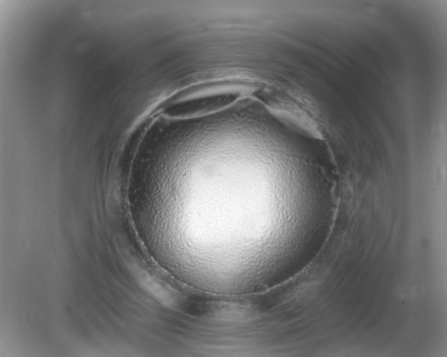 X0000082730347200702021537