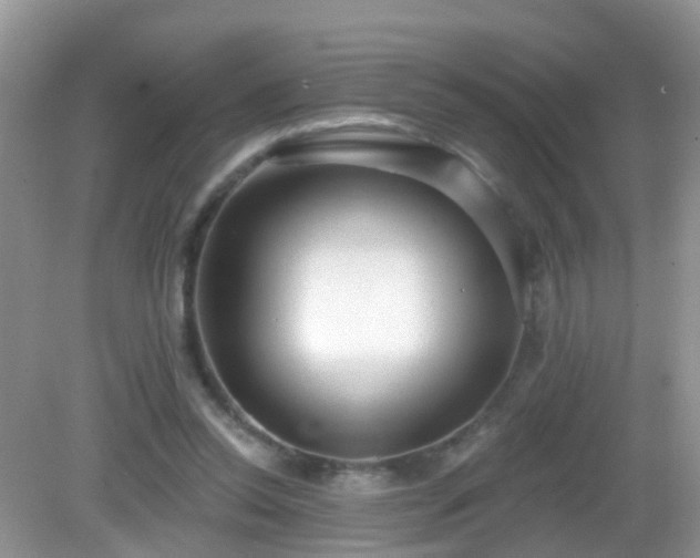X0000082730350200702021537