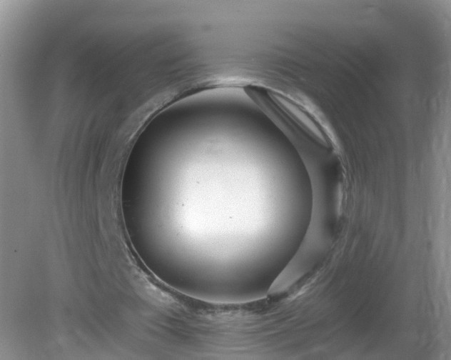 X0000082730385200702021537