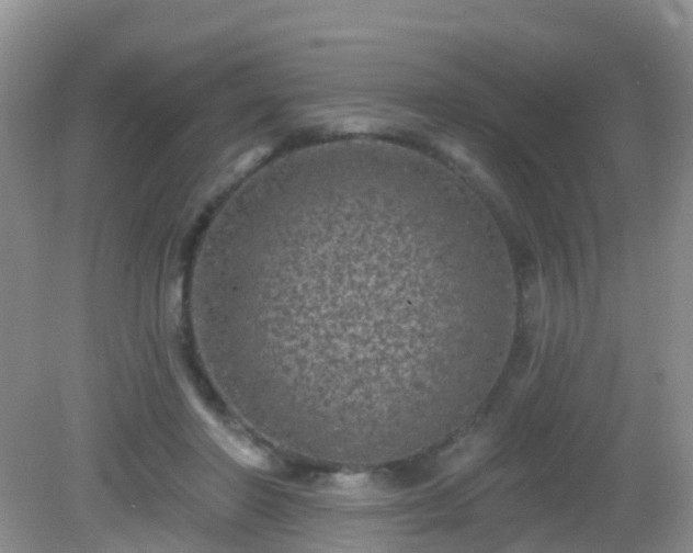X0000082730406200702021537