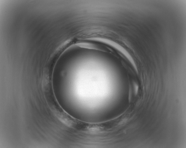 X0000082730407200702021537