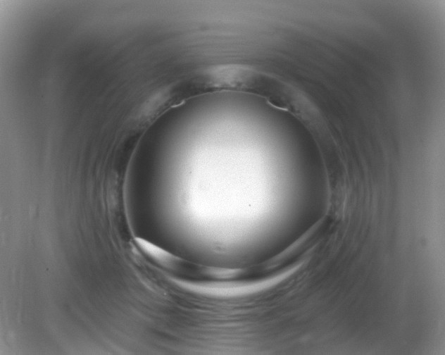 X0000082730413200702021537