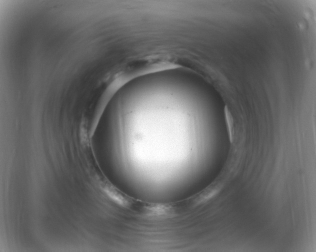 X0000082730432200702021536