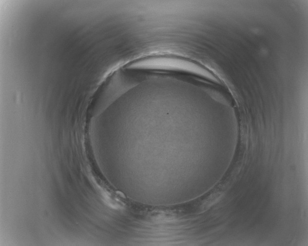 X0000082730434200702021536
