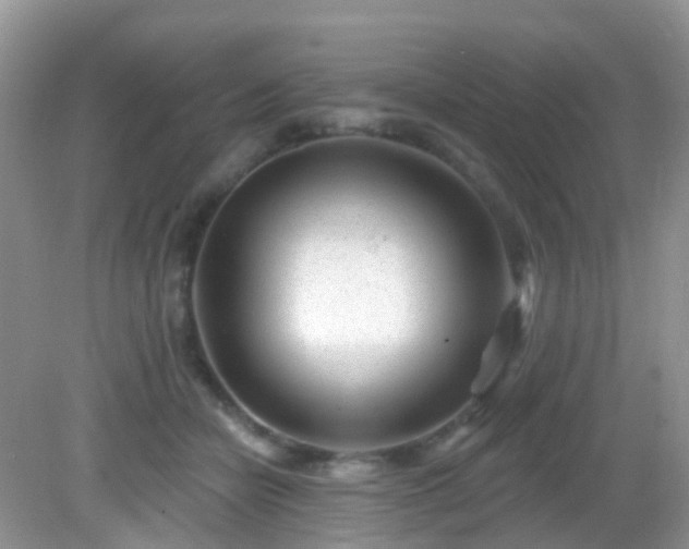 X0000082730462200702021536