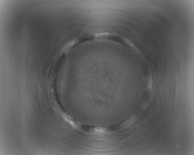X0000082730475200702021536