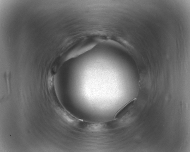 X0000082730479200702021536