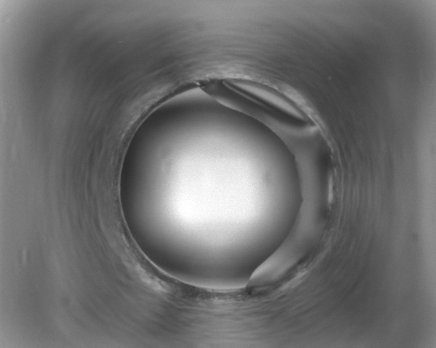 X0000082730481200702021536