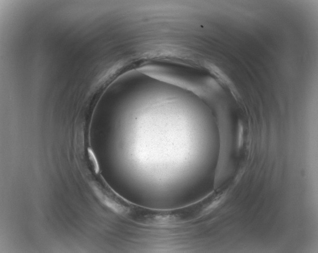 X0000082730493200702021535