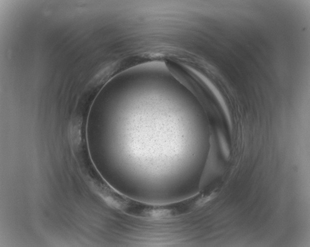 X0000082730501200702021535