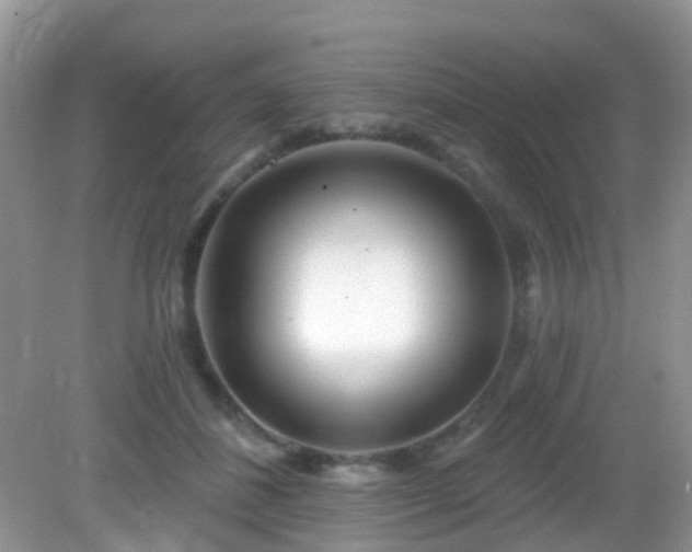 X0000082730508200702021535