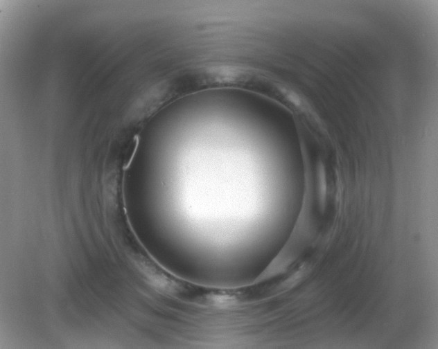 X0000082730509200702021535