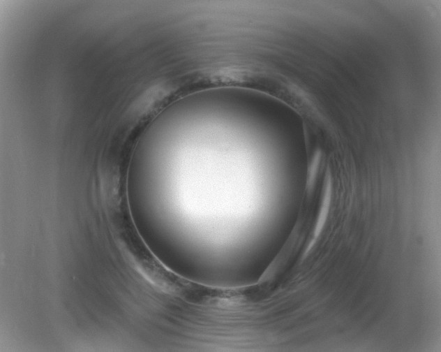 X0000082730548200702021534