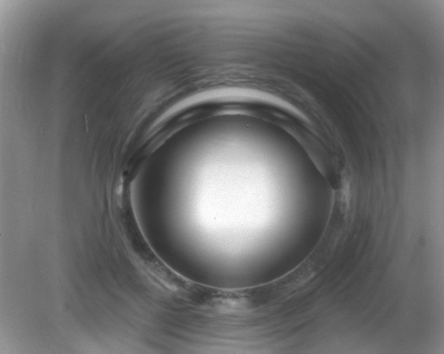 X0000082730552200702021534