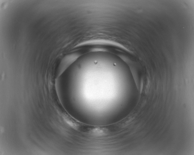 X0000082730566200702021535
