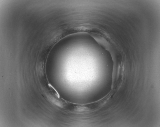 X0000082730605200702021534