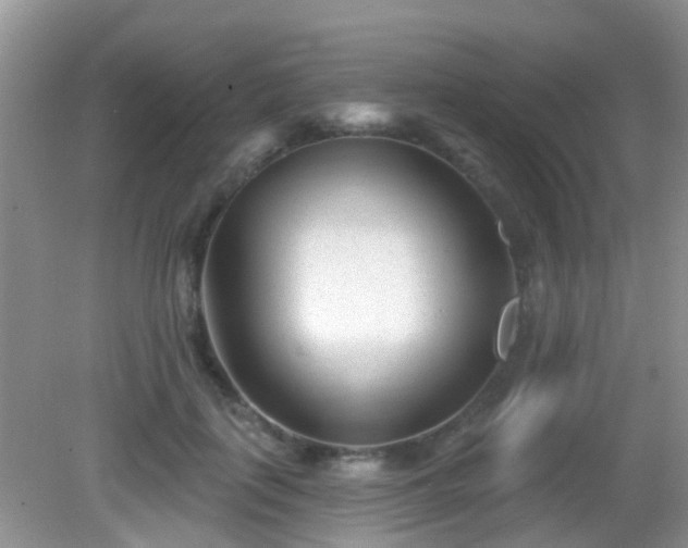 X0000082730651200702021533