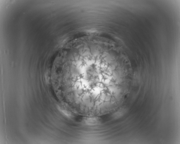 X0000082730671200702021533
